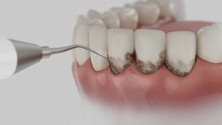 Reliable Dental contractor in Hillsdale, MI by Dentist Open Now